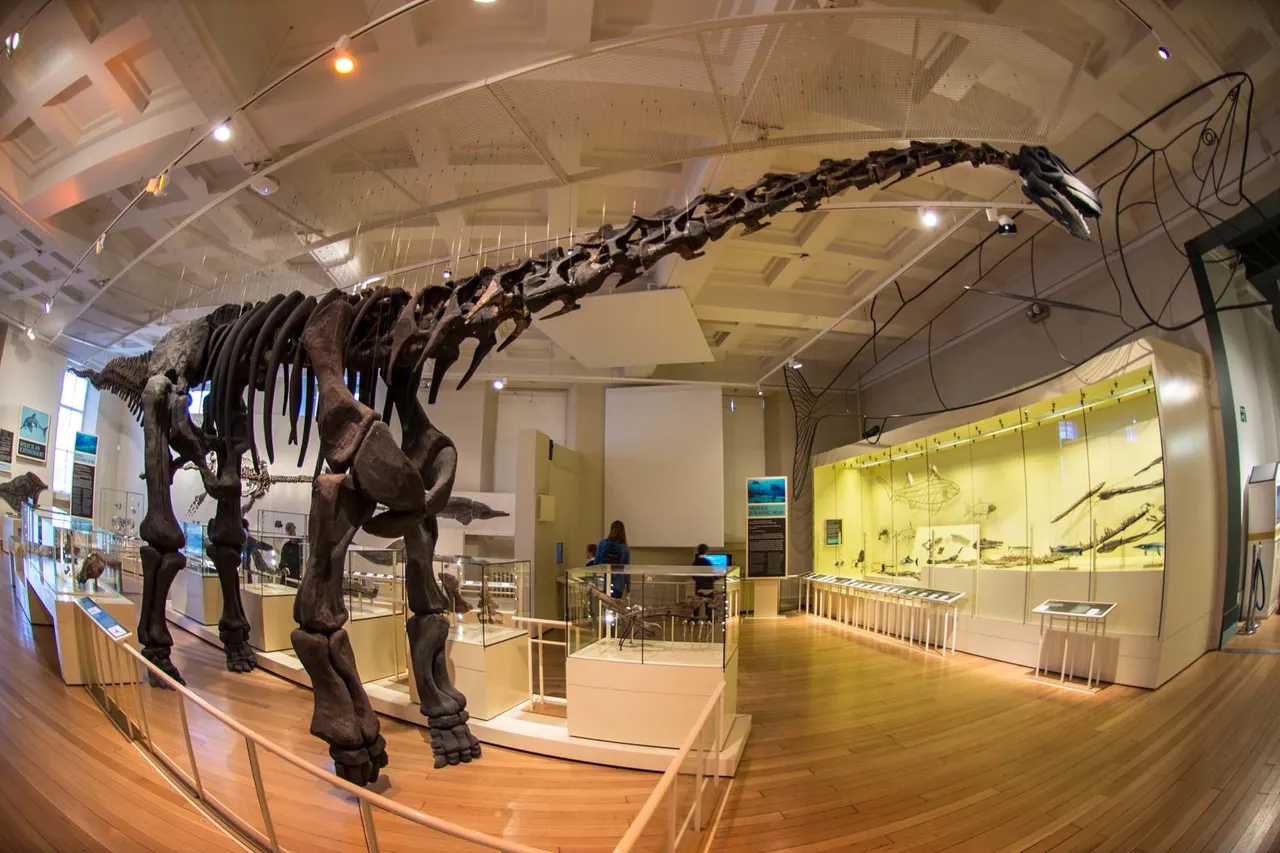 Leicester Museum & Art Gallery photo 1