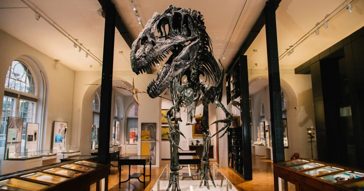Lapworth Museum of Geology photo 1