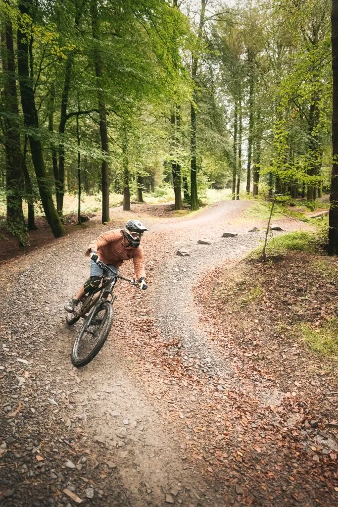Afan Forest photo 1
