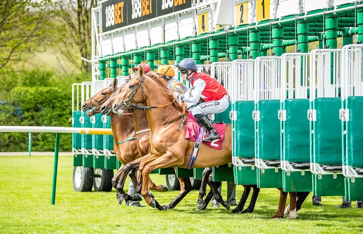 Haydock Park Racecourse photo 2