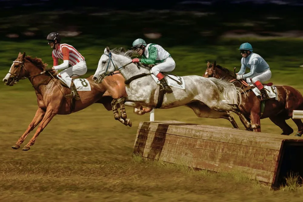 Newbury Racecourse photo 1