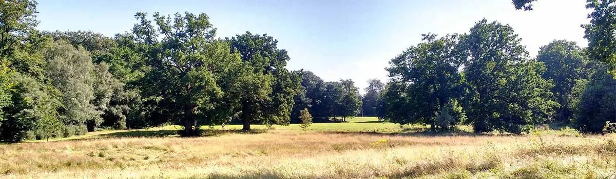Lily Hill Park photo 1