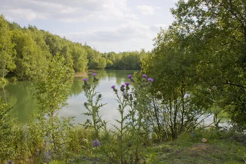 Swanwick Lakes Nature Reserve photo 1