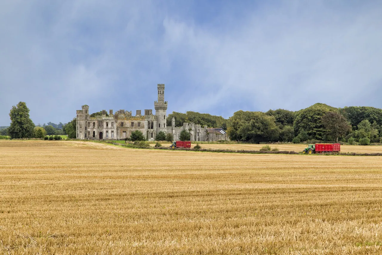 Duckett's Grove photo 1