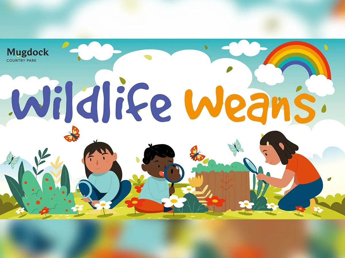 Wildlife Weans at Mugdock Country Park
