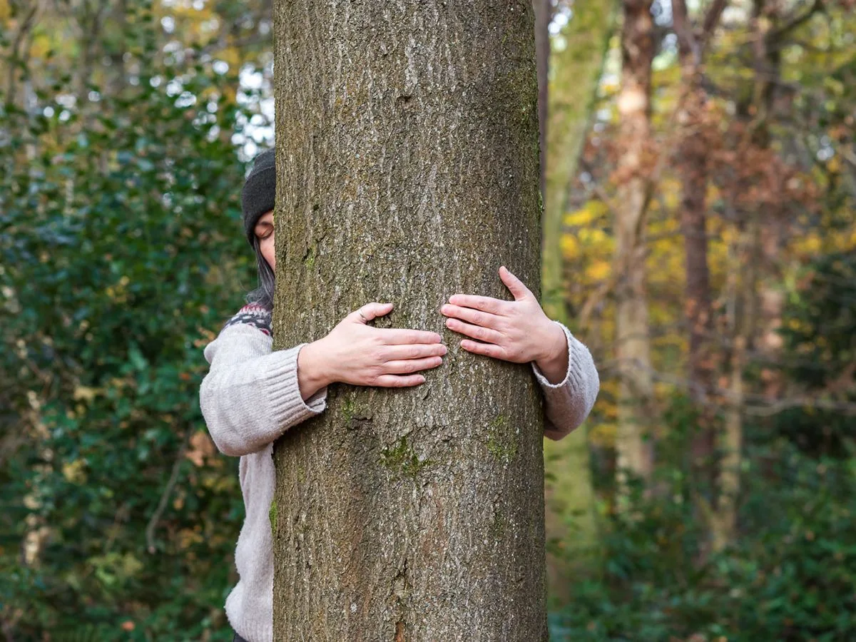 The Scottish Tree Hugging Tournament