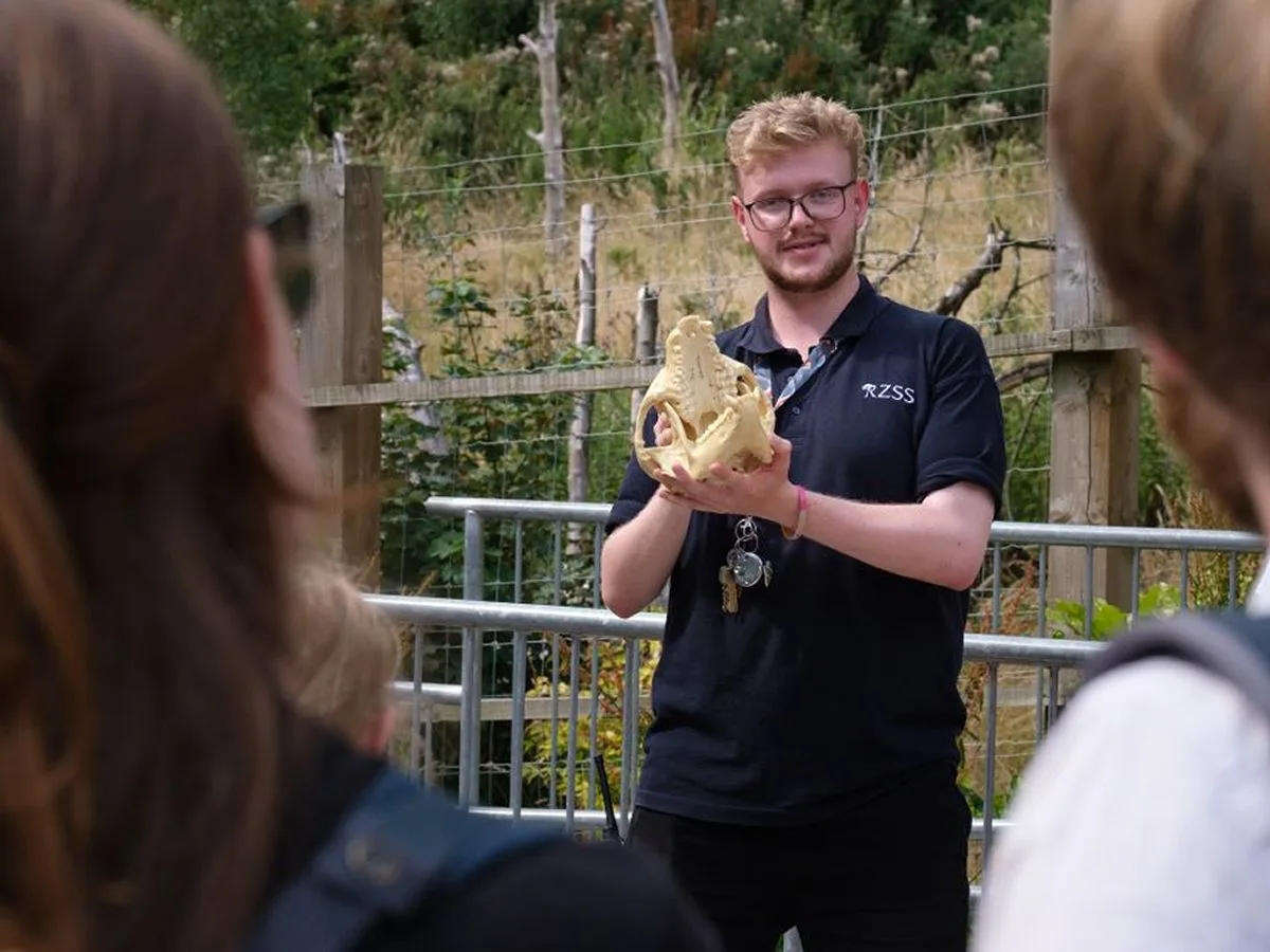 Zoo-fari Tours at Edinburgh Zoo