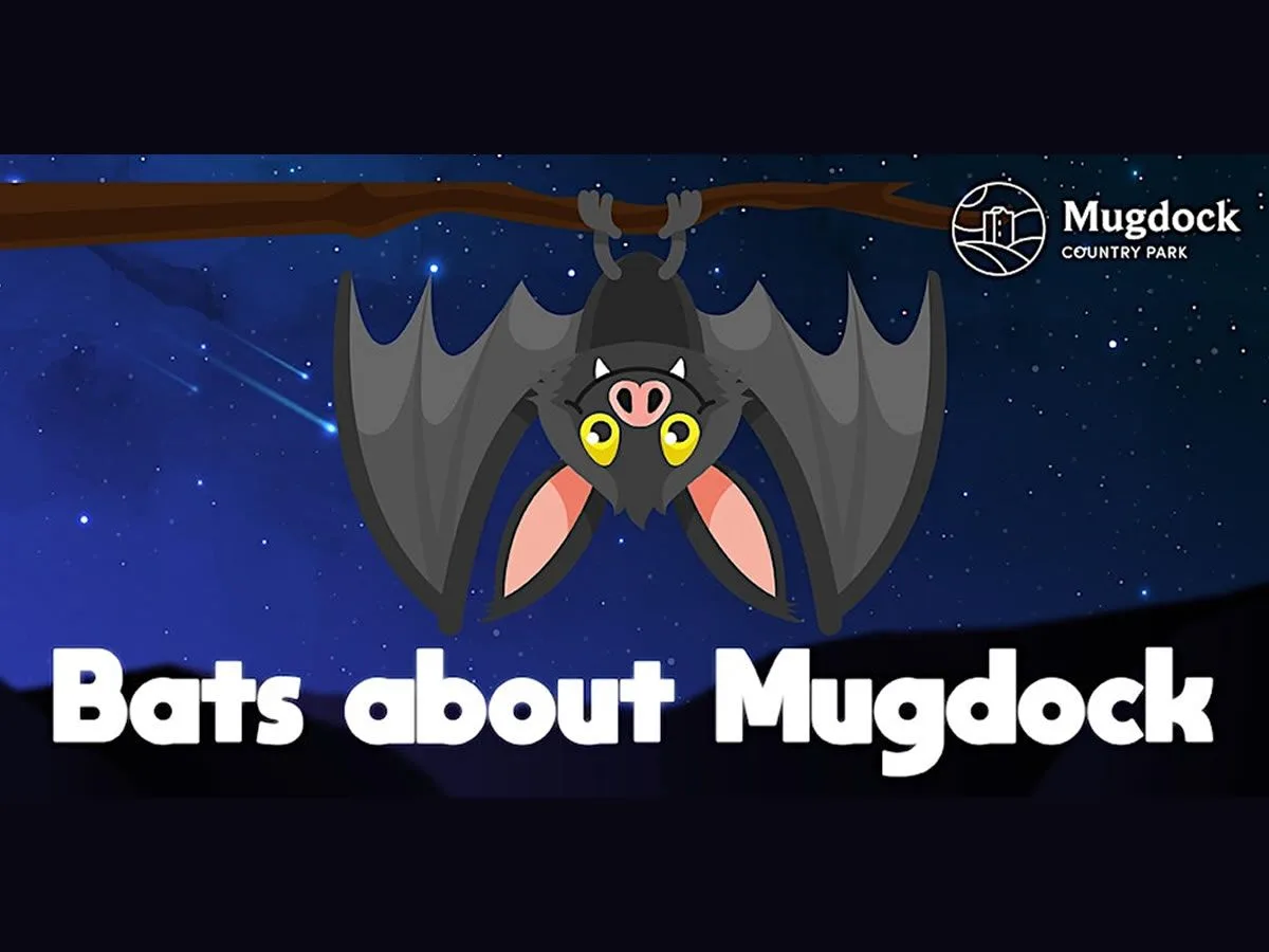 Bats About Mugdock