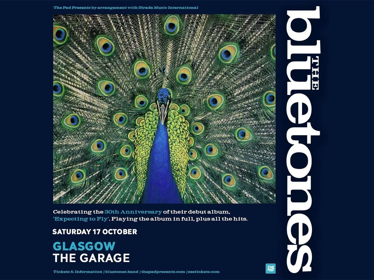 The Bluetones