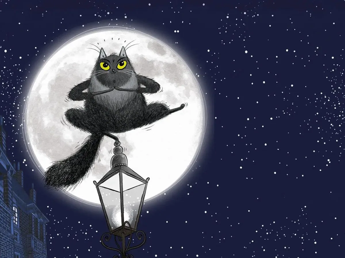 Toto the Ninja Cat
