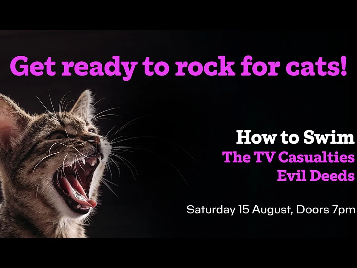 Cats Protection Benefit Gig