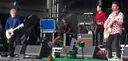 The Saw Doctors