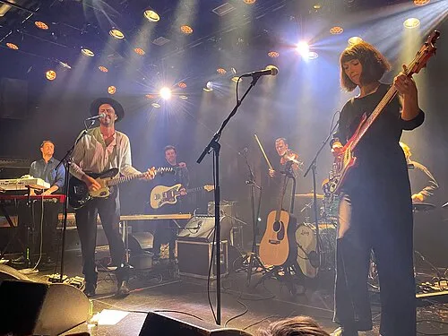 The Veils