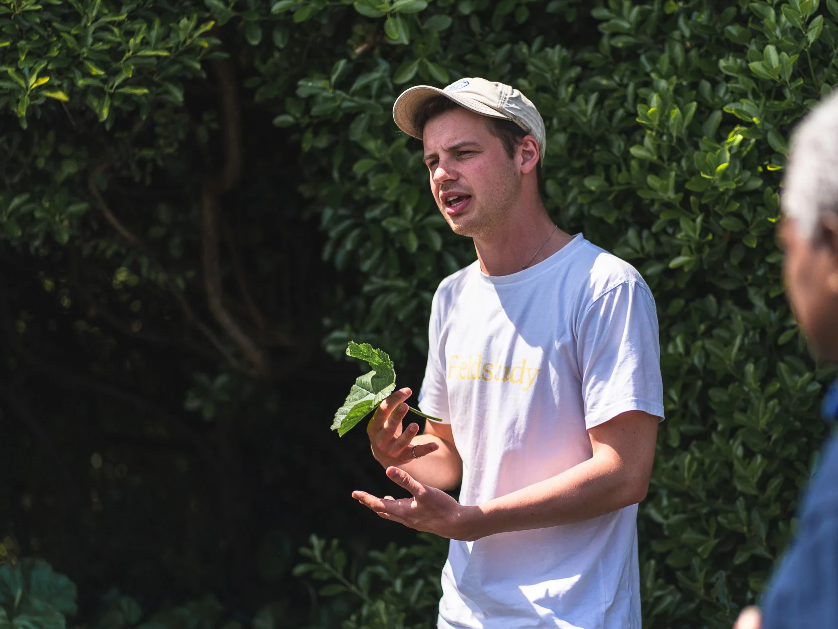 Foraging Walk with Fieldstudy
