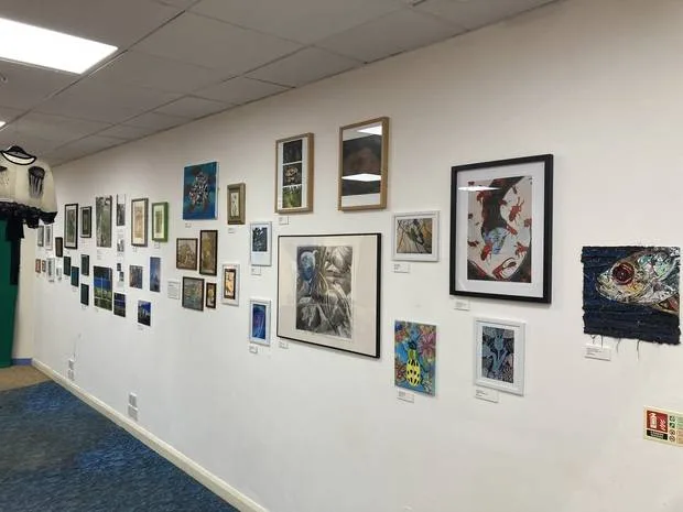A Celebration of Biodiversity Exhibition at Leicester Adult Education College