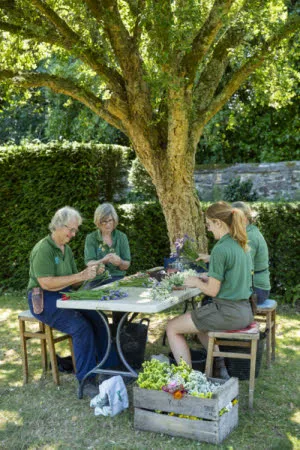 Help us get ready for Cotehele's Garland