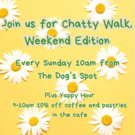 Chatty Walk