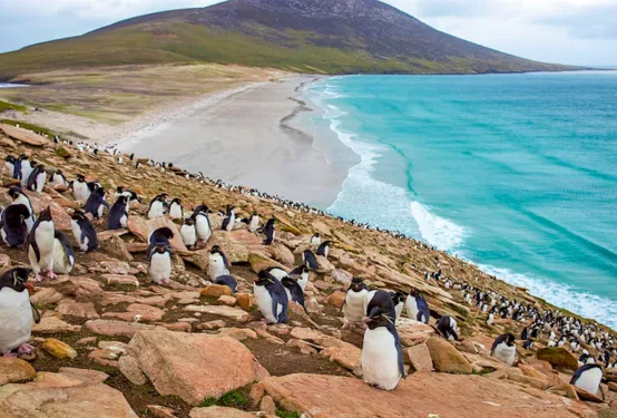 A Brief History of the Falkland Islands – T399 at The Guildford Institute