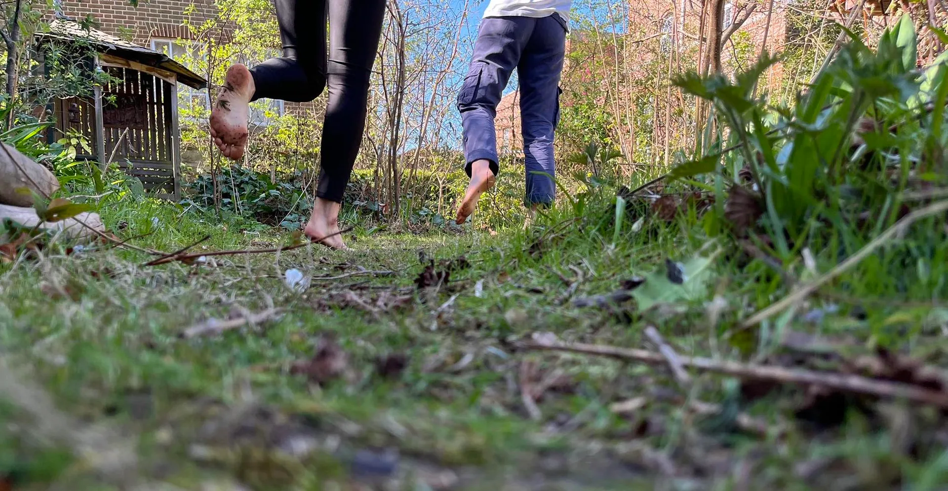 Rising in the Body: Somatic Movement (BMC®) & Embodied Ecology