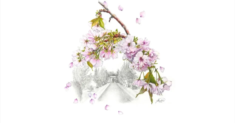 Garden Exhibition - 'The Lifecycle of Plants' at Bowood House & Gardens
