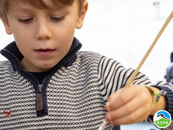Seasonal Crafts at RSPB Minsmere at RSPB Minsmere