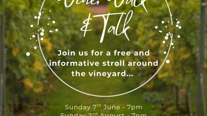 Vineyard Wine, Walk & Talk at Blabers Hall Wine Estate at Blabers Hall Wine Estate