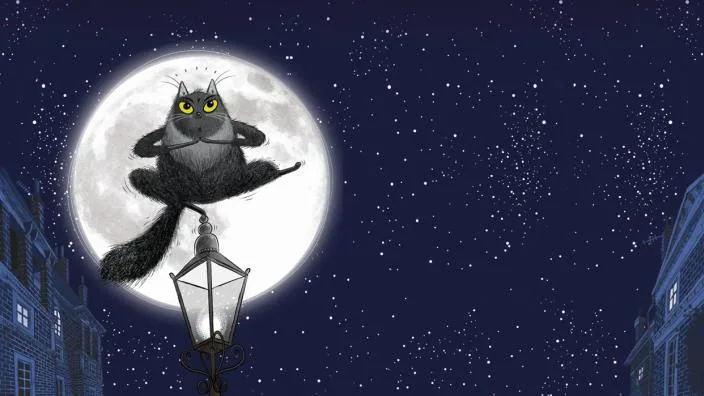 Toto The Ninja Cat and the Great Snake Escape at Birmingham Town Hall