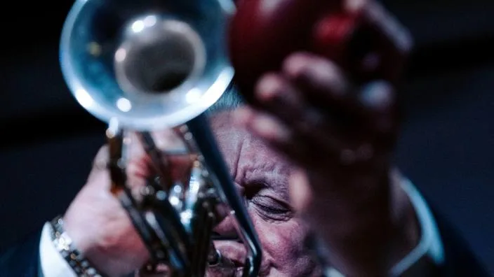 Jazz at the Museum Collection Centre