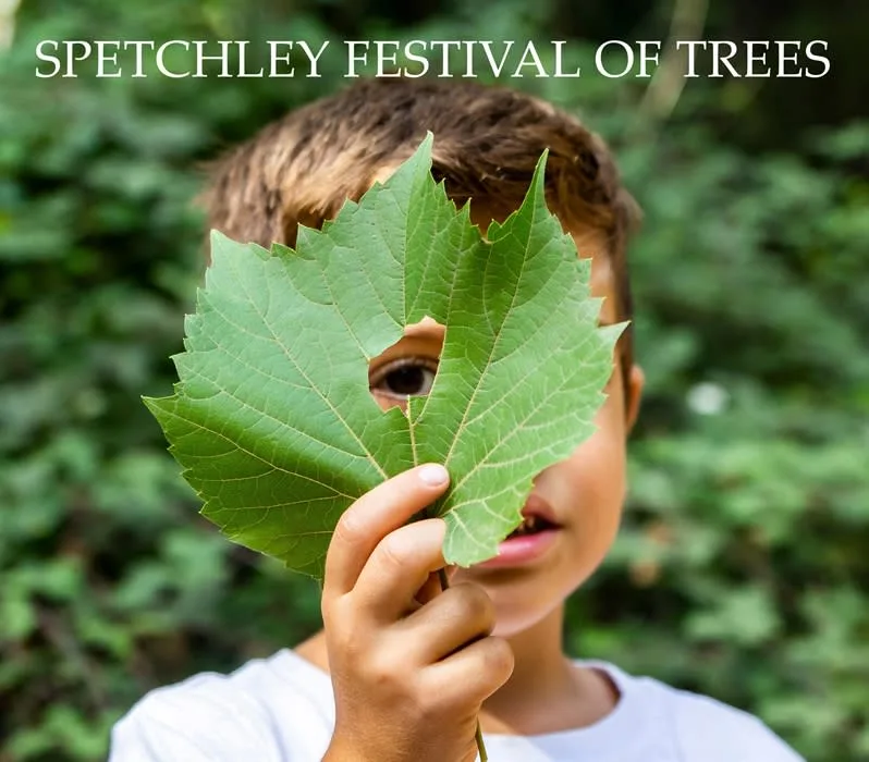 Spetchley Festival of Trees