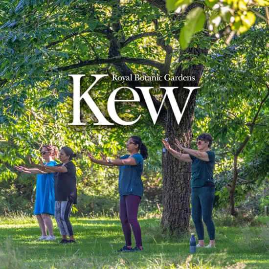 Tai Chi Sessions at The Royal Botanic Gardens, Kew at Royal Botanic Gardens, Kew