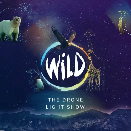 WILD: The Drone Light Show - Ipswich at Trinity Park Conference & Events Centre