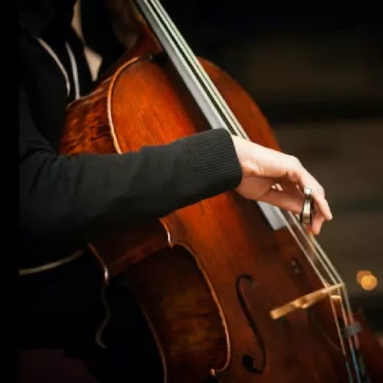 Bach Cello Suites by Candlelight at St Giles' Cathedral at St Giles' Cathedral