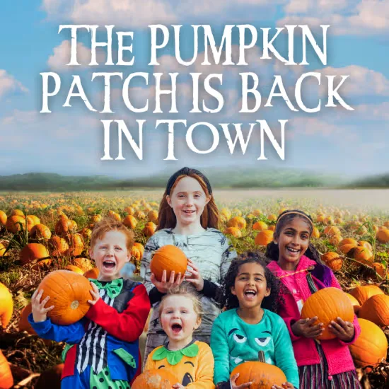 Pumpkin Patch At Hobbledown West London at Hobbledown Heath