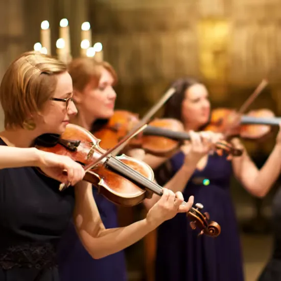 Vivaldi's Four Seasons & The Lark Ascending at Chichester Cathedral at Chichester Cathedral Southampton