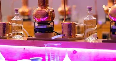 Gin Tasting Masterclass in Aberdeen