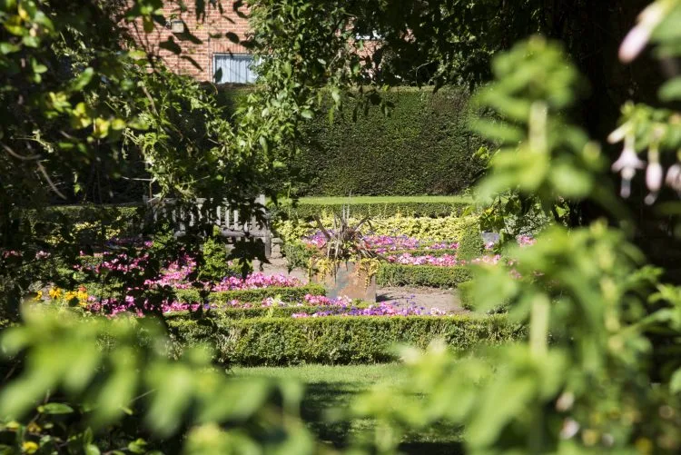 Drawing and Painting in the Botanic Garden at Attenborough Arts Centre