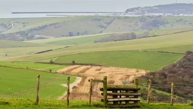 Bopeep to Firle Beacon (Member Led Event)