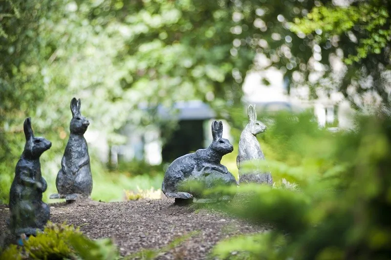 Beatrix Potter's Birnam Walking Tour at Birnam Arts