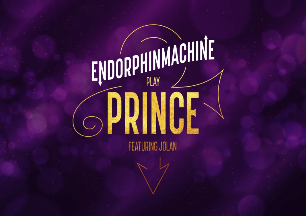 Prince performed LIVE in Liverpool by Endorphinmachine