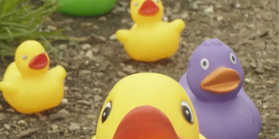 Reading Duck Race