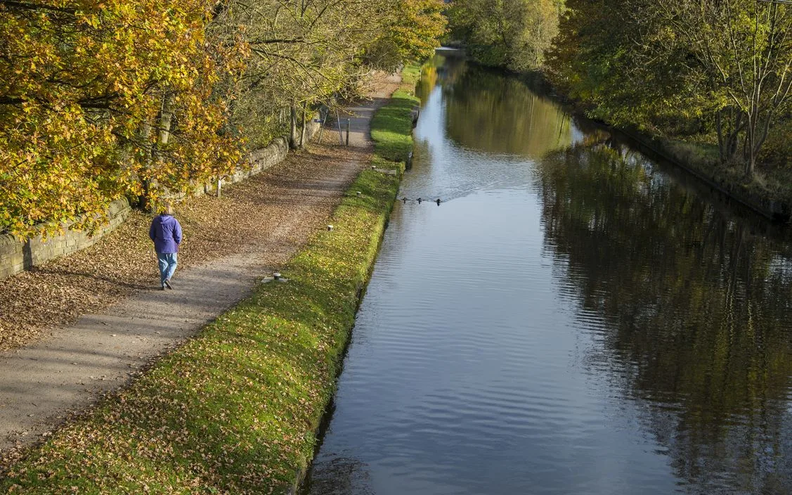Let's Walk Milner Fields, Saltaire at Hirst Wood
