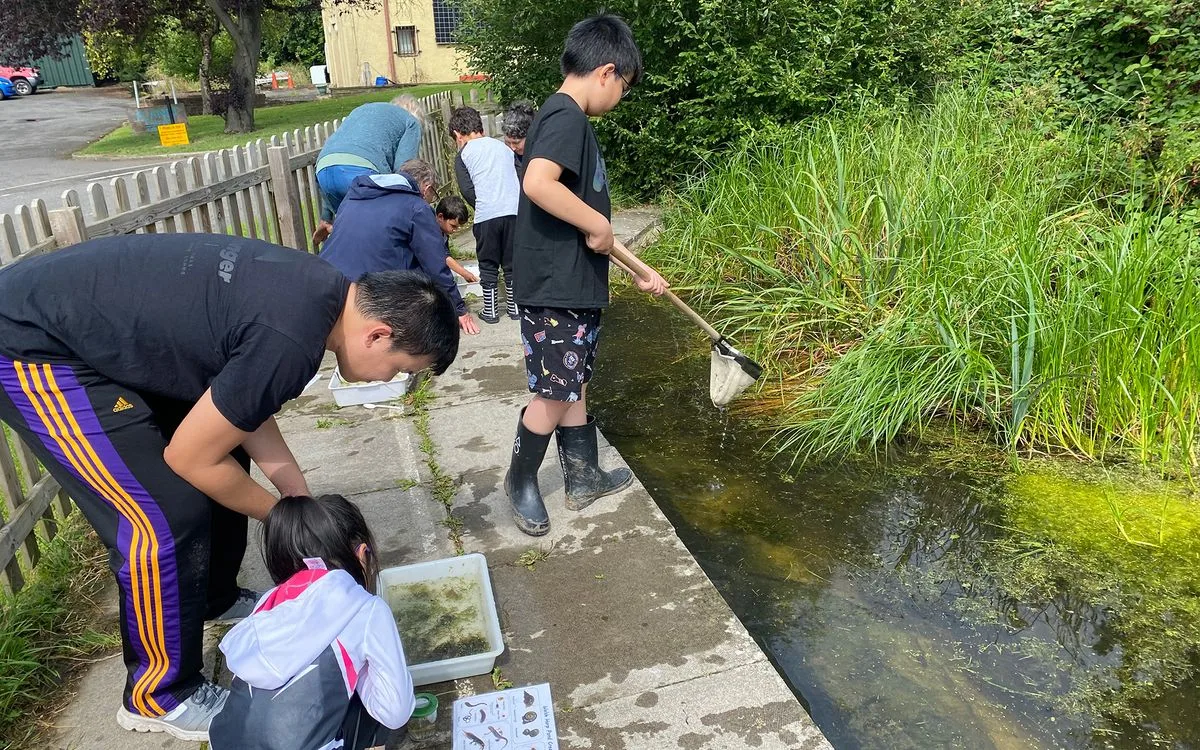 Pond Dipping at Foxton Locks at Foxton Locks