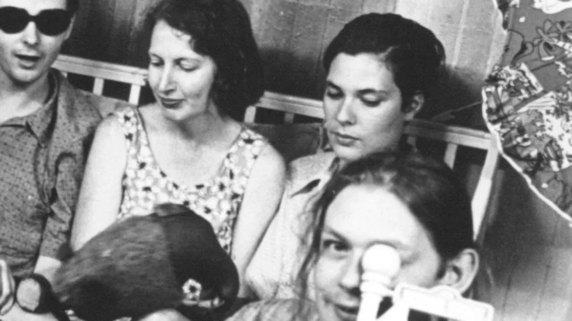 Stereolab, Allah-Las, Gwenno, Night Tapes, The Mystery Lights, Lael Neale, Floral Image, LEMONSUCKR, Martial Arts, Cordelia Gartside in Brighton at Various Venues