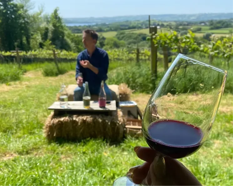 GOOD STORIES IN FOOD: Wine and Cheese Tasting Tour at Limeburn Hill Vineyard