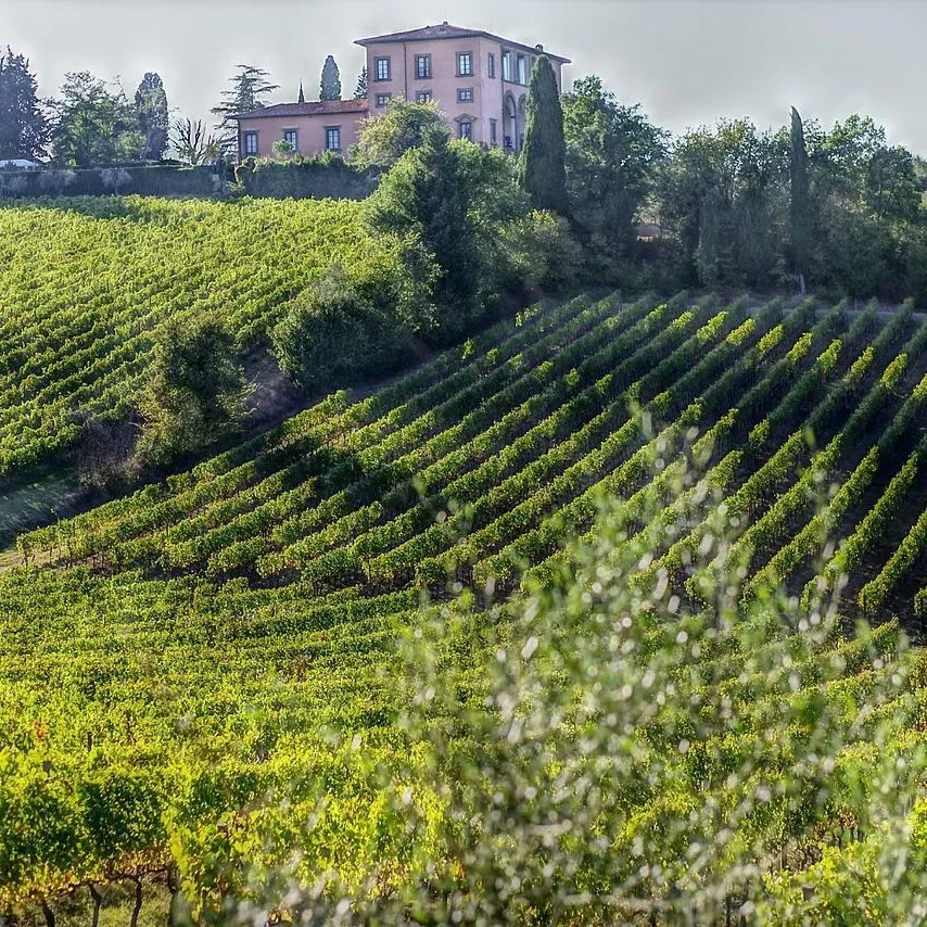The Ancient Vines of Italy at Maldron City Centre