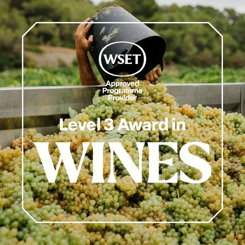 WSET Level 3 Award Course and Exam at Maldron Hotel