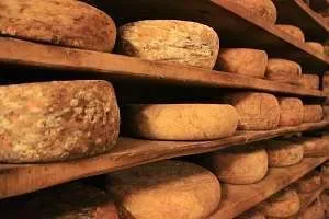 Scottish Cheese and Wine Pairing at Novotel Edinburgh Centre