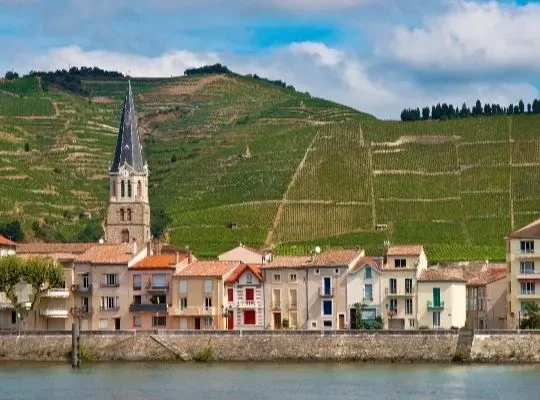 Ramble down the Rhône with Linda Field at Novotel Edinburgh Centre