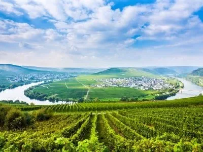 World of Wine - Germany, Austria and Hungary at citizenM Tower of London Hotel