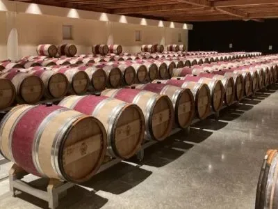 Introduction to Red Wines at citizenM Tower of London Hotel